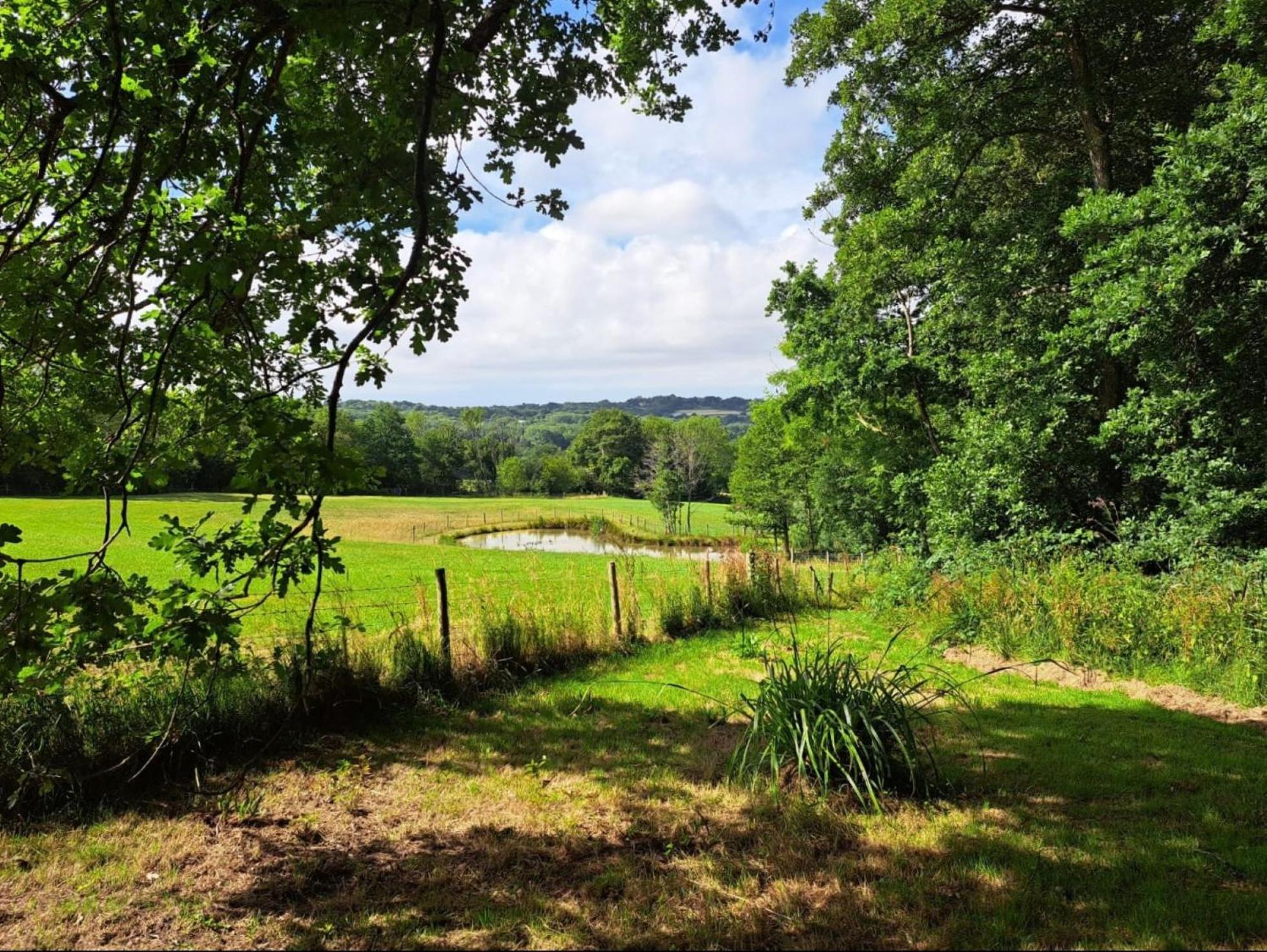 Charming Tranquil Shepherds Hut With Lakeside Balcony 'Roach' Uckfield Kültér fotó